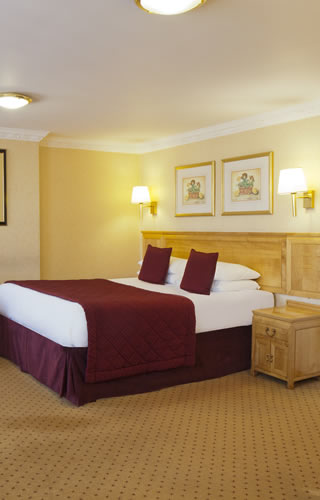 Book early and Save