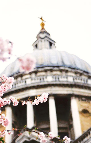 Spring Getaway